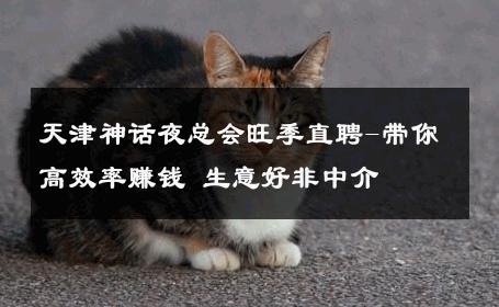 天津神话夜总会旺季直聘-带你高效率赚钱 生意好非中介