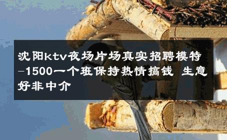 沈阳ktv夜场片场真实招聘模特-1500一个班保持热情搞钱 生意好非中介