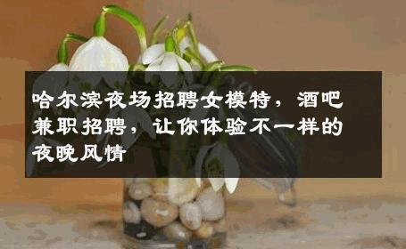 哈尔滨夜场招聘女模特，酒吧兼职招聘，让你体验不一样的夜晚风情