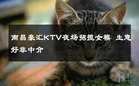 南昌豪汇KTV夜场招揽女模 生意好非中介