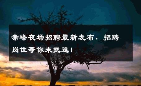 赤峰夜场招聘最新发布，招聘岗位等你来挑选！