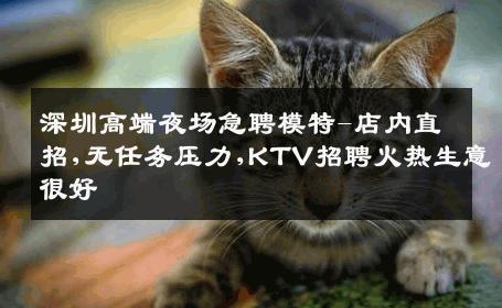 深圳高端夜场急聘模特-店内直招,无任务压力,KTV招聘火热生意很好