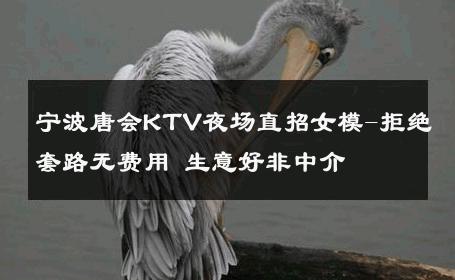 宁波唐会KTV夜场直招女模-拒绝套路无费用 生意好非中介