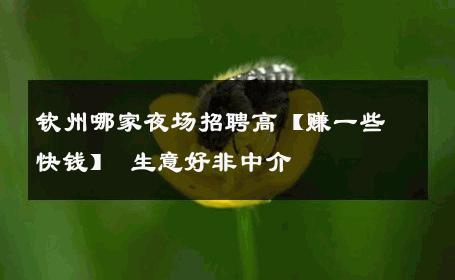 钦州哪家夜场招聘高【赚一些快钱】 生意好非中介