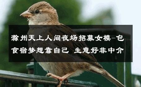 滁州天上人间夜场招募女模-包食宿梦想靠自己 生意好非中介