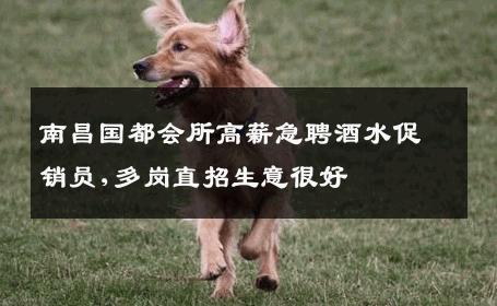南昌国都会所高薪急聘酒水促销员,多岗直招生意很好
