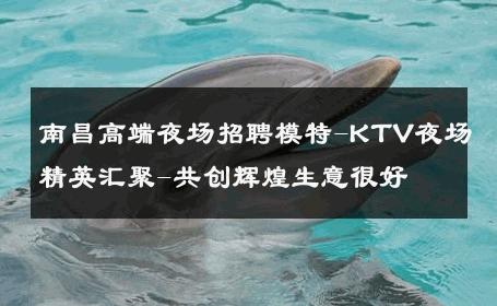 南昌高端夜场招聘模特-KTV夜场精英汇聚-共创辉煌生意很好