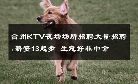 台州KTV夜场场所招聘大量招聘.薪资13起步 生意好非中介