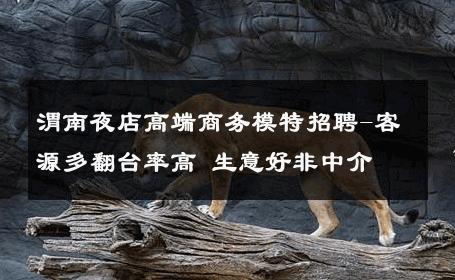 渭南夜店高端商务模特招聘-客源多翻台率高 生意好非中介