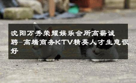 沈阳万秀荣耀娱乐会所高薪诚聘-高端商务KTV精英人才生意很好