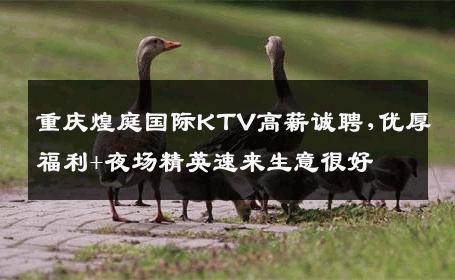 重庆煌庭国际KTV高薪诚聘,优厚福利+夜场精英速来生意很好