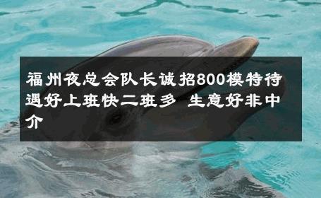 福州夜总会队长诚招800模特待遇好上班快二班多 生意好非中介