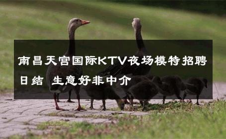 南昌天宫国际KTV夜场模特招聘日结 生意好非中介