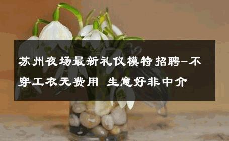 苏州夜场最新礼仪模特招聘-不穿工衣无费用 生意好非中介