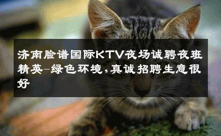 济南脸谱国际KTV夜场诚聘夜班精英-绿色环境,真诚招聘生意很好