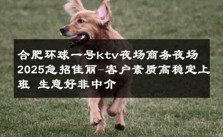 合肥环球一号ktv夜场商务夜场2025急招佳丽-客户素质高稳定上班 生意好非中介