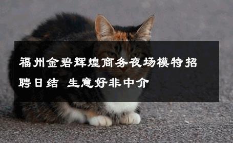 福州金碧辉煌商务夜场模特招聘日结 生意好非中介
