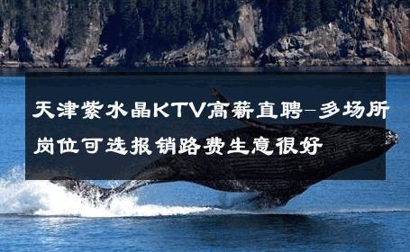 天津紫水晶KTV高薪直聘-多场所岗位可选报销路费生意很好
