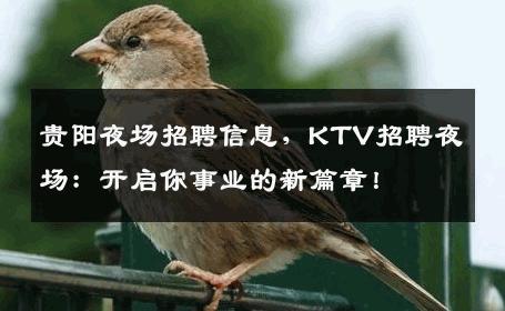 贵阳夜场招聘信息，KTV招聘夜场：开启你事业的新篇章！