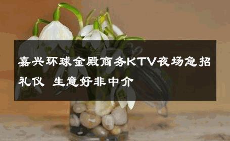 嘉兴环球金殿商务KTV夜场急招礼仪 生意好非中介