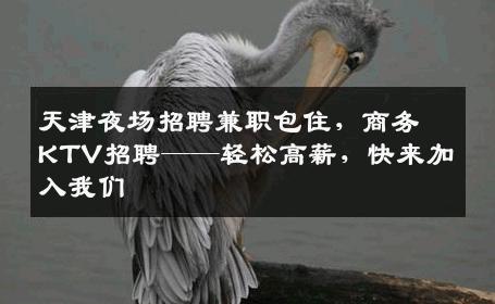 天津夜场招聘兼职包住，商务KTV招聘——轻松高薪，快来加入我们