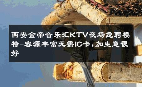西安金帝音乐汇KTV夜场急聘模特-客源丰富无需IC卡,加生意很好