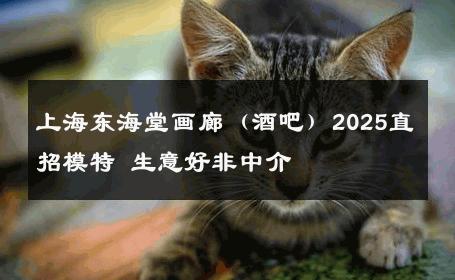 上海东海堂画廊（酒吧）2025直招模特 生意好非中介