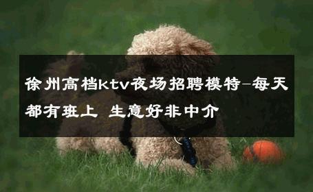 徐州高档ktv夜场招聘模特-每天都有班上 生意好非中介