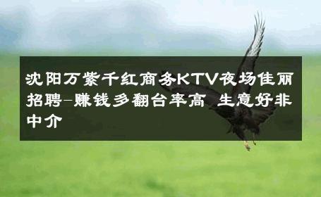 沈阳万紫千红商务KTV夜场佳丽招聘-赚钱多翻台率高 生意好非中介