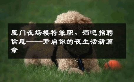 厦门夜场模特兼职，酒吧招聘信息——开启你的夜生活新篇章