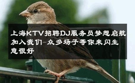 上海KTV招聘DJ服务员梦想启航-加入我们-众多场子等你来闪生意很好