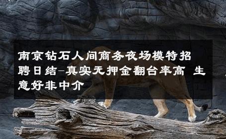 南京钻石人间商务夜场模特招聘日结-真实无押金翻台率高 生意好非中介