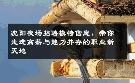 沈阳夜场招聘模特信息，带你走进高薪与魅力并存的职业新天地