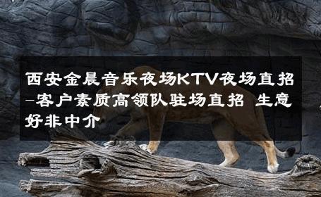 西安金晨音乐夜场KTV夜场直招-客户素质高领队驻场直招 生意好非中介