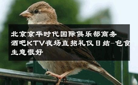 北京京华时代国际俱乐部商务酒吧KTV夜场直招礼仪日结-包食生意很好