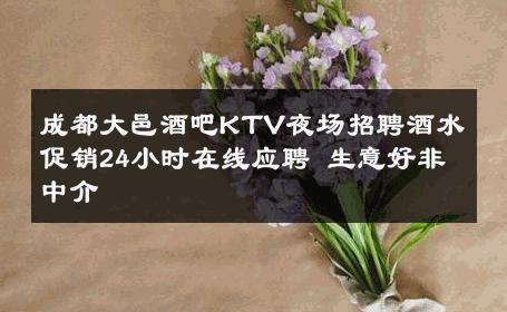 成都大邑酒吧KTV夜场招聘酒水促销24小时在线应聘 生意好非中介