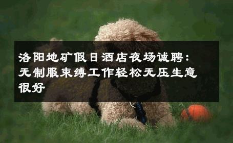 洛阳地矿假日酒店夜场诚聘：无制服束缚工作轻松无压生意很好