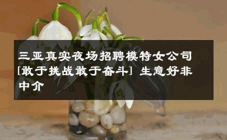 三亚真实夜场招聘模特女公司[敢于挑战敢于奋斗] 生意好非中介