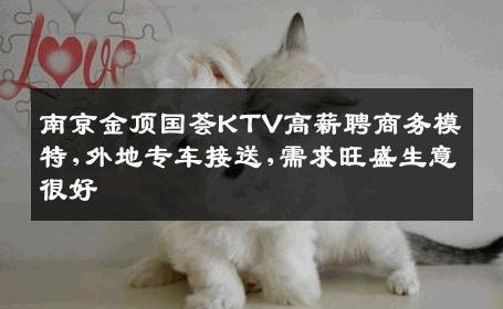 南京金顶国荟KTV高薪聘商务模特,外地专车接送,需求旺盛生意很好