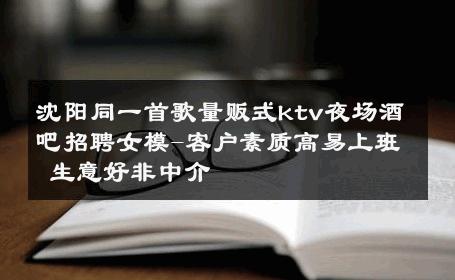 沈阳同一首歌量贩式ktv夜场酒吧招聘女模-客户素质高易上班 生意好非中介