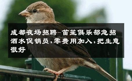 成都夜场招聘-笛笙俱乐部急招酒水促销员,零费用加入,把生意很好