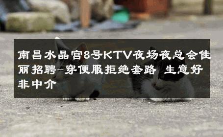 南昌水晶宫8号KTV夜场夜总会佳丽招聘-穿便服拒绝套路 生意好非中介