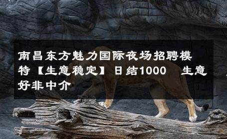 南昌东方魅力国际夜场招聘模特【生意稳定】日结1000  生意好非中介