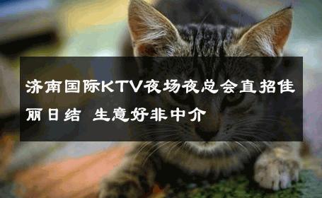 济南国际KTV夜场夜总会直招佳丽日结 生意好非中介