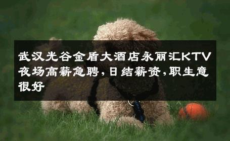 武汉光谷金盾大酒店永丽汇KTV夜场高薪急聘,日结薪资,职生意很好