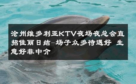 沧州维多利亚KTV夜场夜总会直招佳丽日结-场子众多待遇好 生意好非中介
