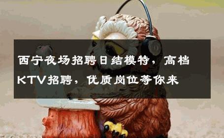 西宁夜场招聘日结模特，高档KTV招聘，优质岗位等你来