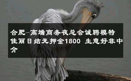 合肥-高端商务夜总会诚聘模特佳丽日结无押金1800 生意好非中介