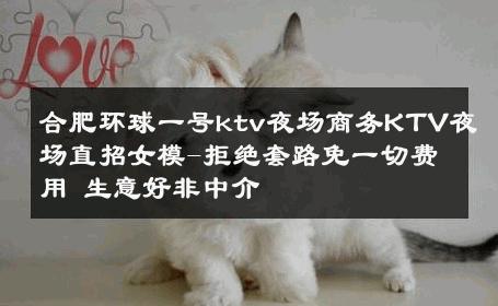 合肥环球一号ktv夜场商务KTV夜场直招女模-拒绝套路免一切费用 生意好非中介