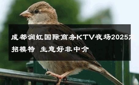 成都润虹国际商务KTV夜场2025急招模特 生意好非中介